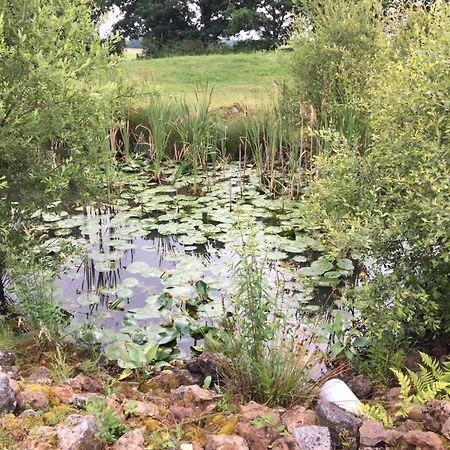 Cottage A La Campagne Avec Piscine Et Spa Ardentes 外观 照片