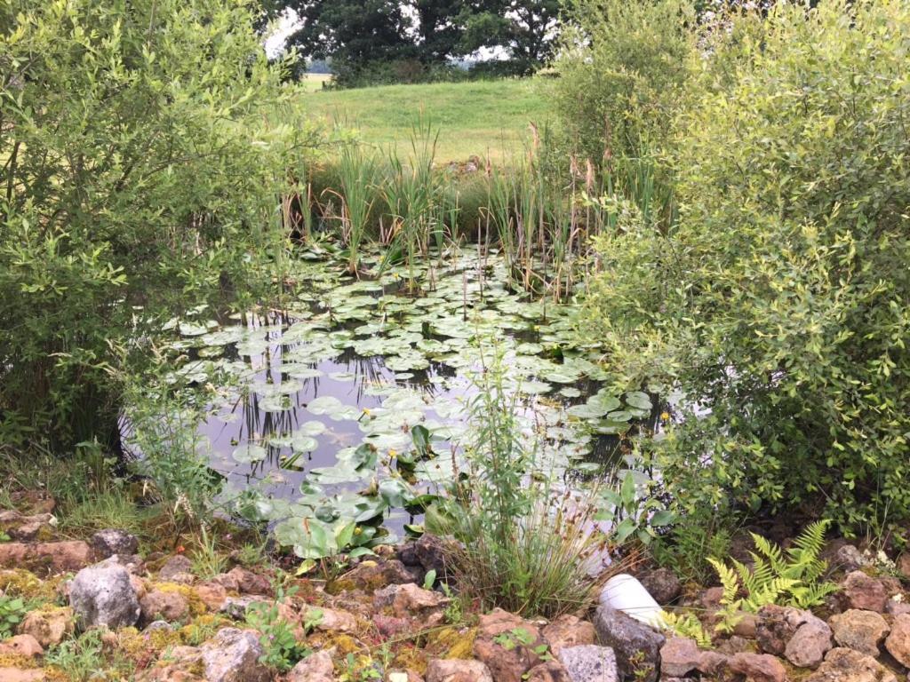 Cottage A La Campagne Avec Piscine Et Spa Ardentes 外观 照片